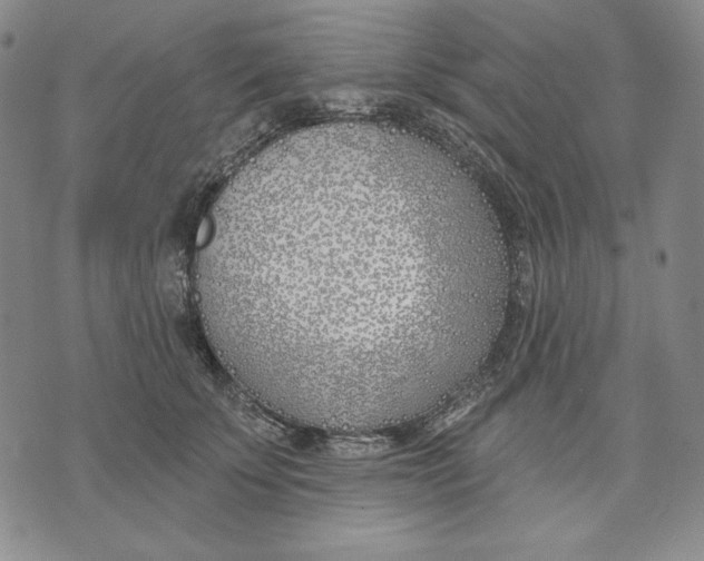 X0000072490707200608041416