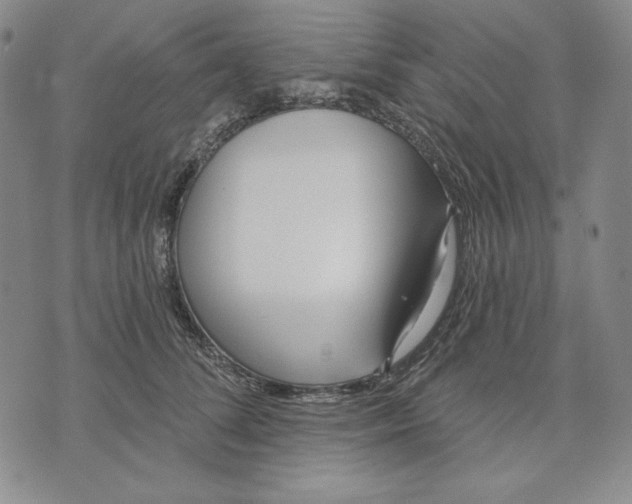 X0000072490708200608041416