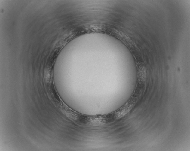 X0000072490709200608041416