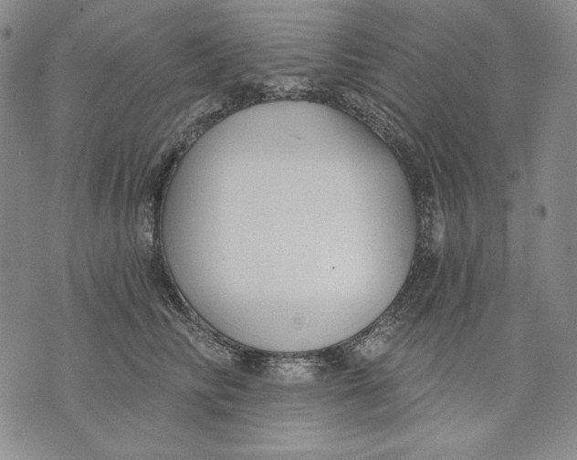 X0000072490710200608041416