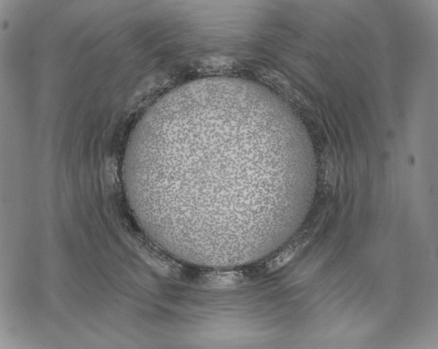 X0000072490711200608041416