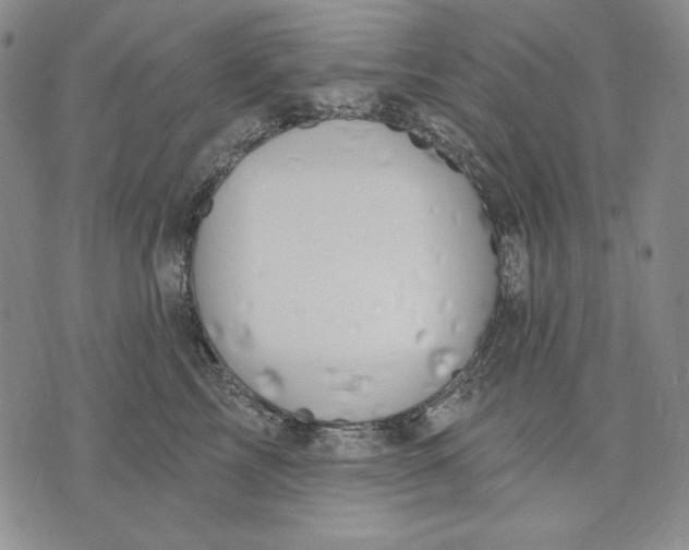 X0000072490713200608041416