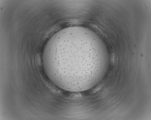 X0000072490715200608041416