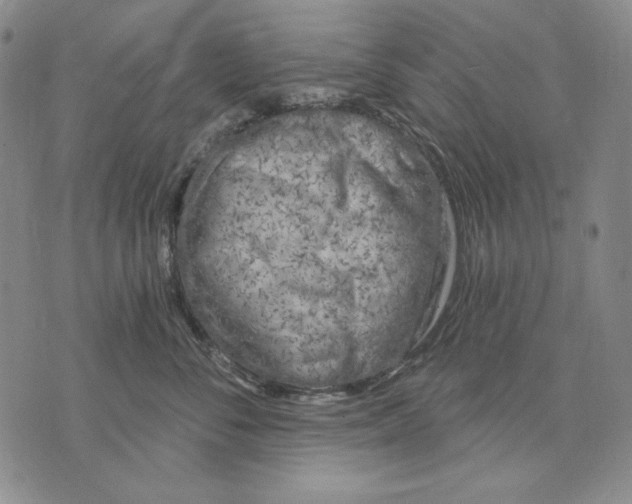 X0000072490716200608041416