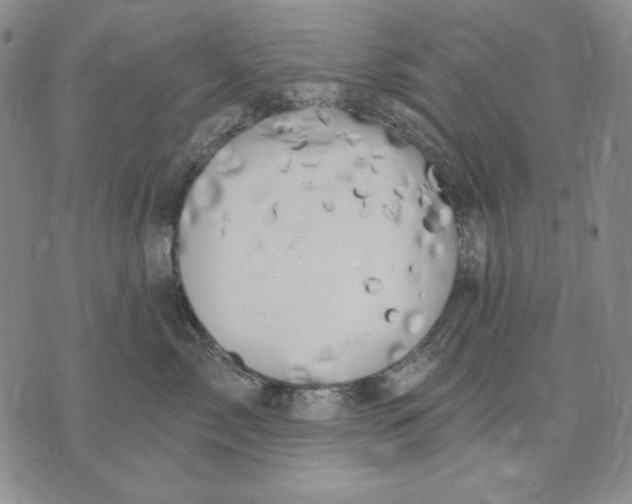 X0000072490717200608041416