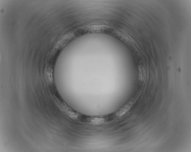 X0000072490718200608041416