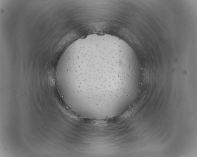 X0000072490719200608041416