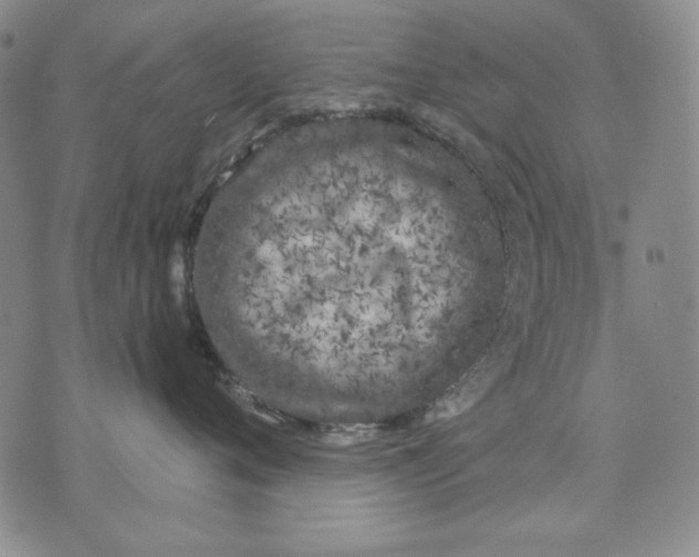 X0000072490720200608041416