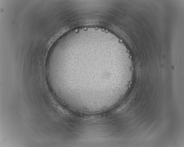 X0000072490721200608041415