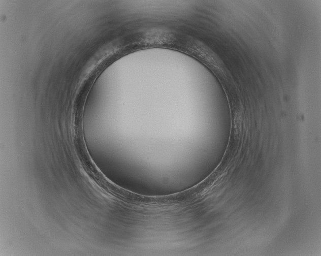 X0000072490722200608041415