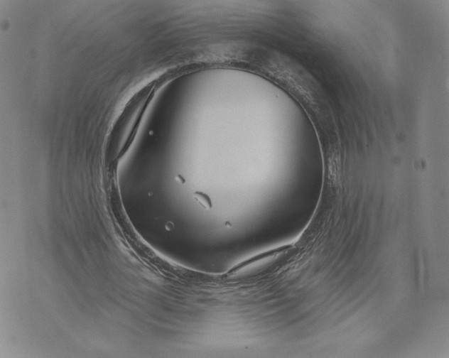 X0000072490724200608041415