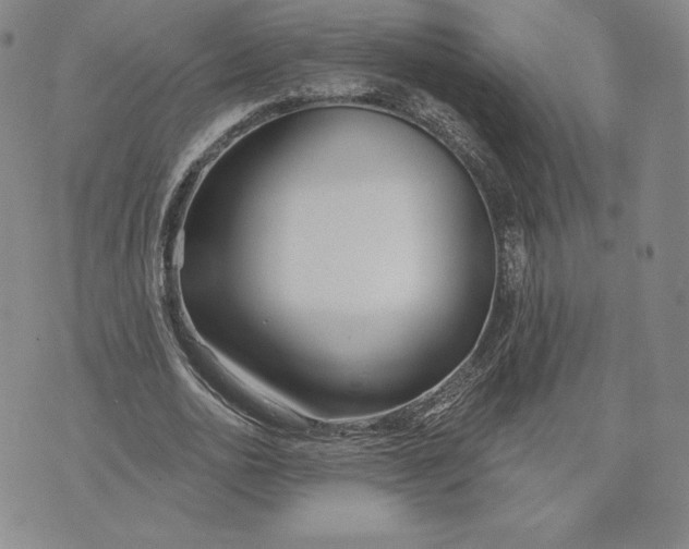 X0000072490726200608041415