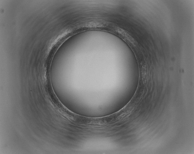 X0000072490727200608041415