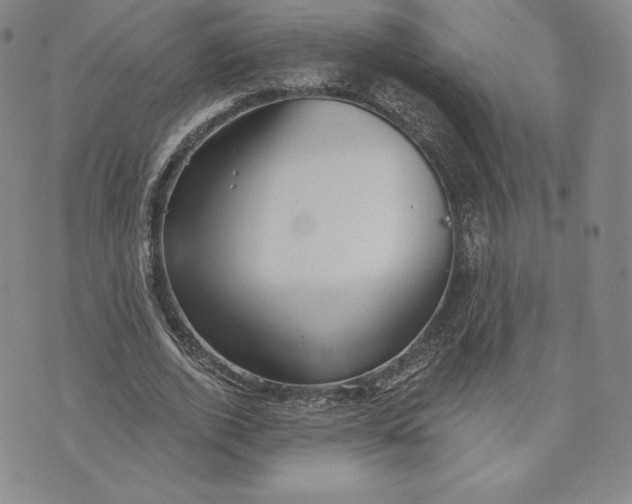 X0000072490728200608041415