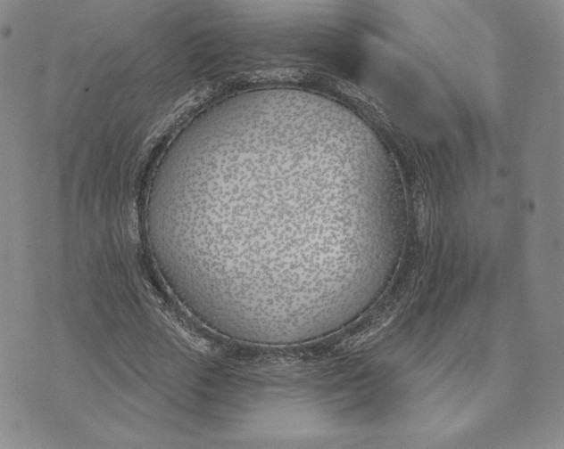 X0000072490729200608041415