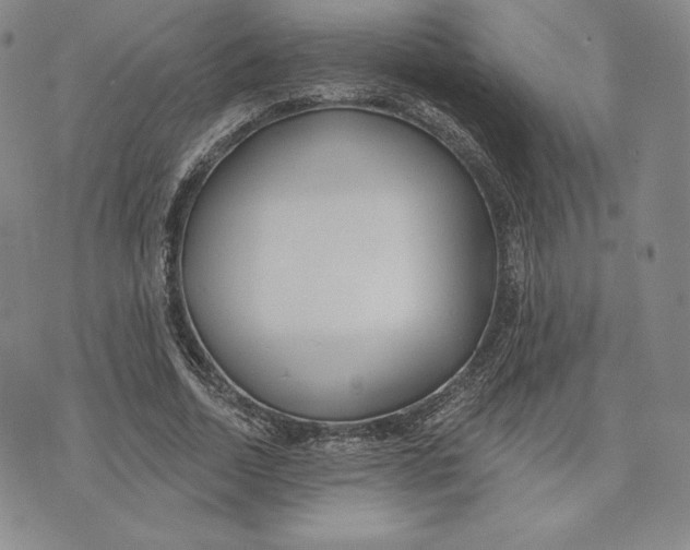 X0000072490730200608041415