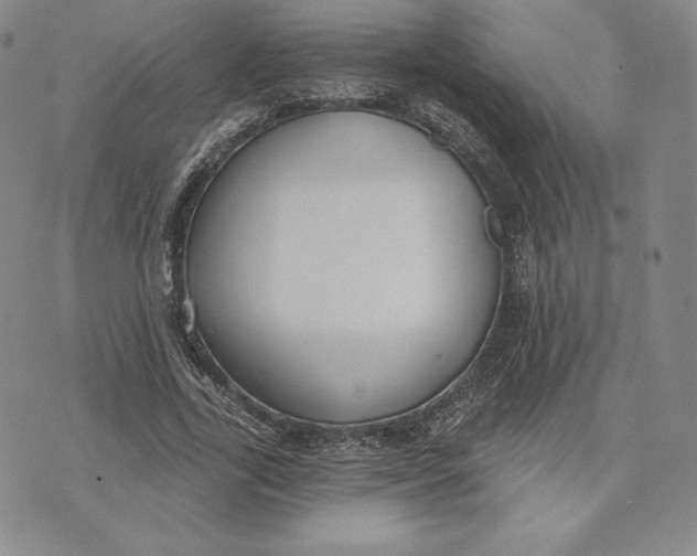 X0000072490731200608041415