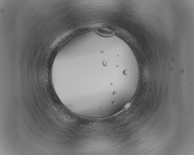 X0000072490732200608041415