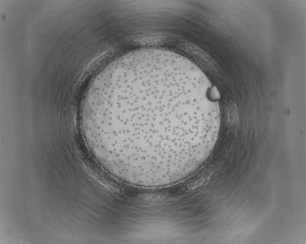 X0000072490733200608041415