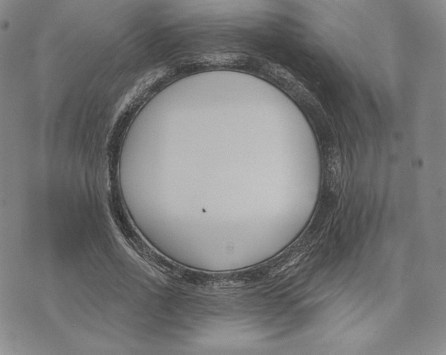 X0000072490734200608041415