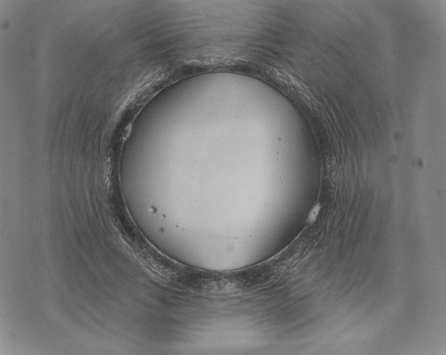 X0000072490735200608041415