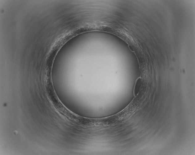 X0000072490736200608041415