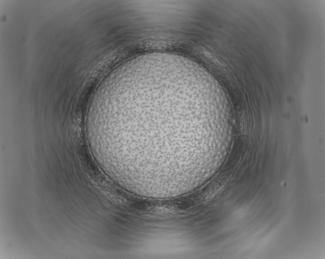 X0000072490737200608041415