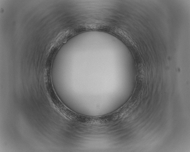 X0000072490738200608041415