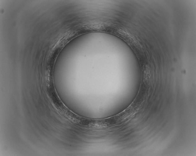 X0000072490739200608041415