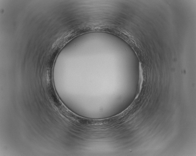 X0000072490740200608041415