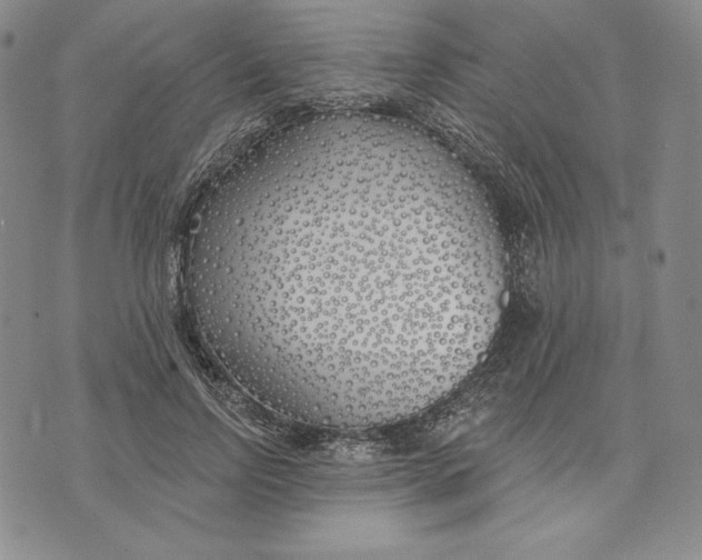 X0000072490742200608041415