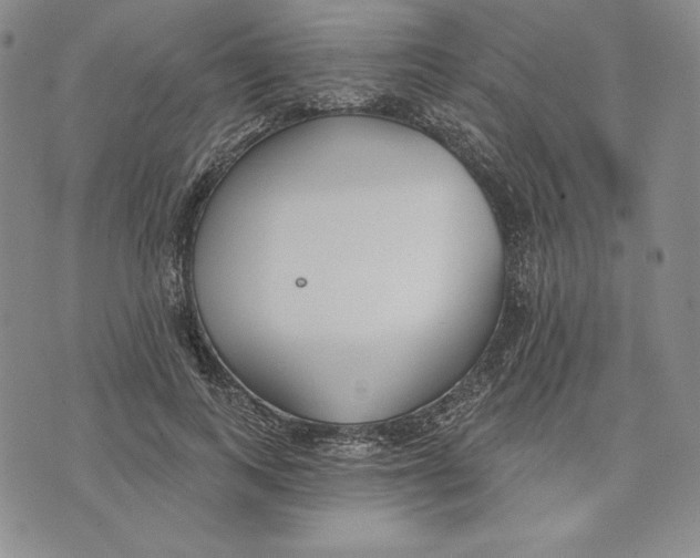 X0000072490743200608041415