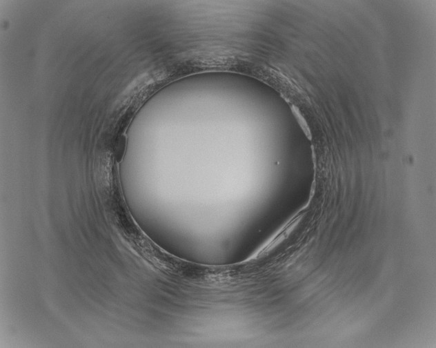 X0000072490744200608041415