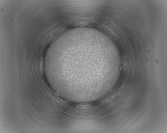 X0000072490745200608041415