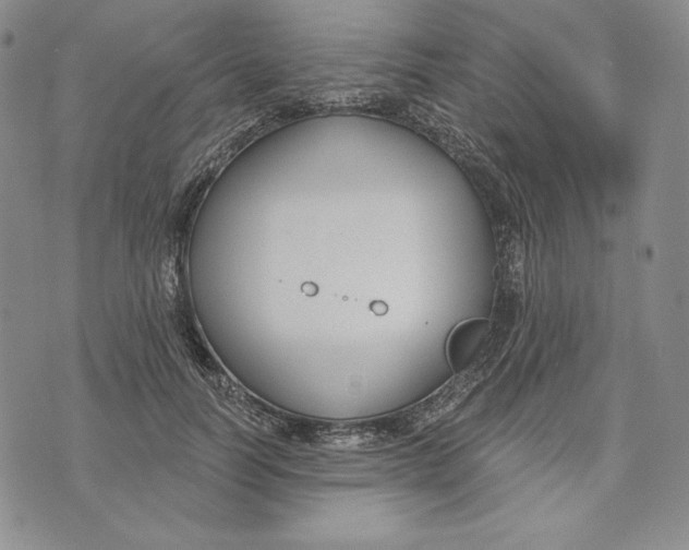 X0000072490746200608041415