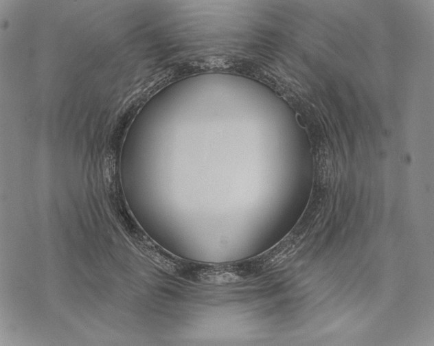 X0000072490747200608041415