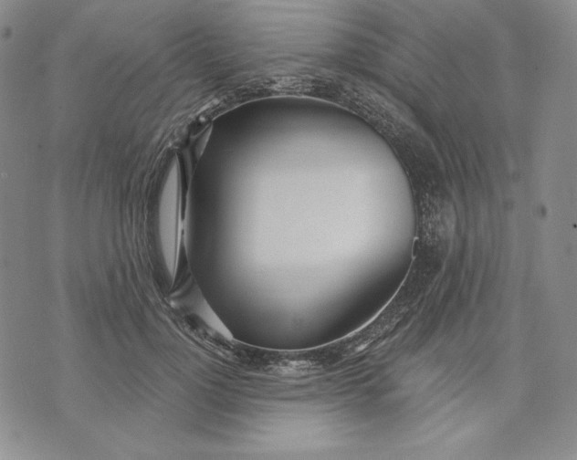 X0000072490748200608041415