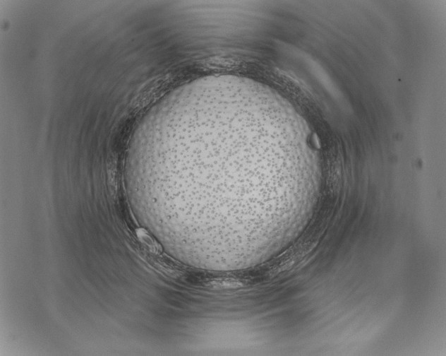 X0000072490749200608041415