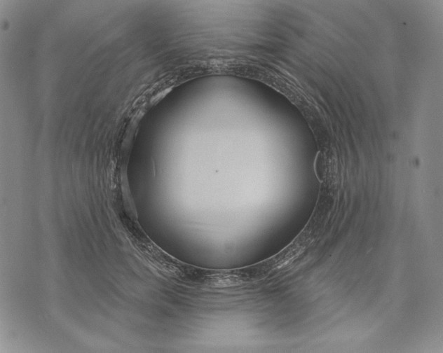 X0000072490750200608041415