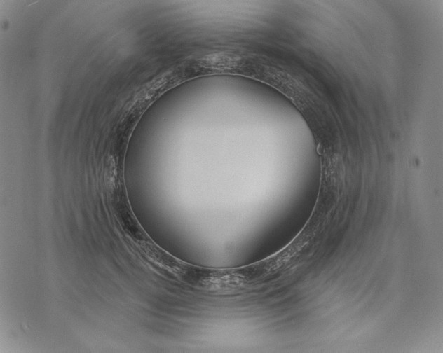 X0000072490752200608041416