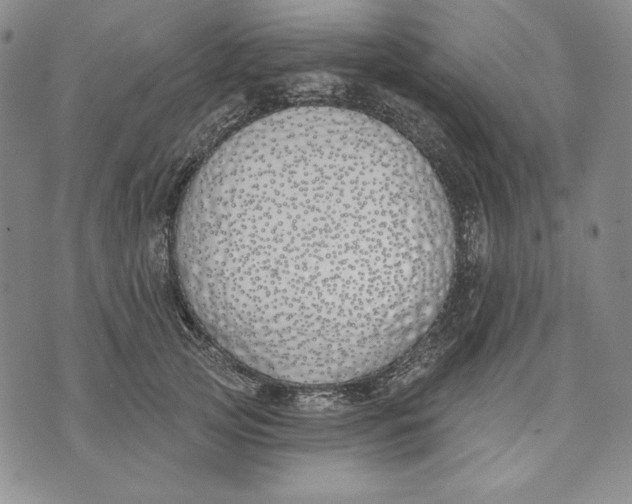 X0000072490753200608041416