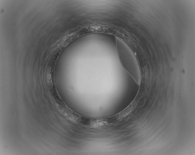 X0000072490754200608041416