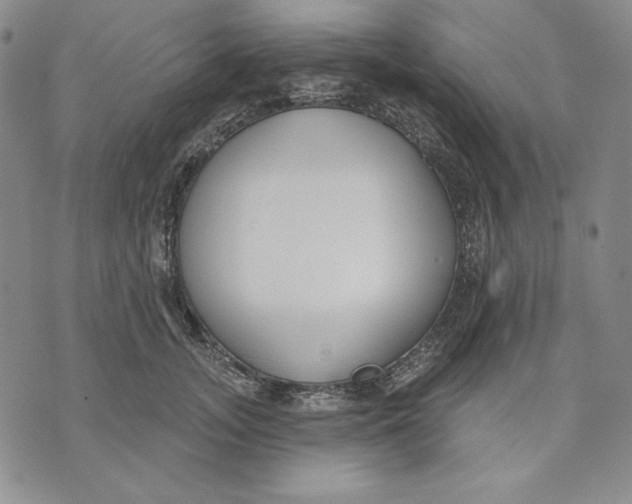 X0000072490755200608041416