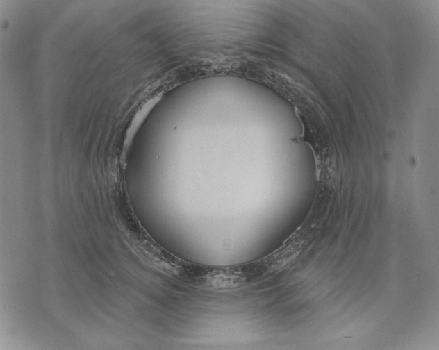 X0000072490756200608041416