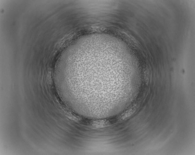 X0000072490757200608041416