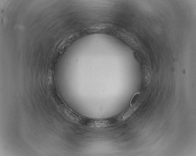 X0000072490758200608041416