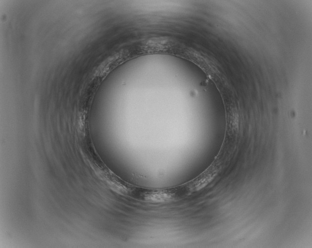 X0000072490759200608041416