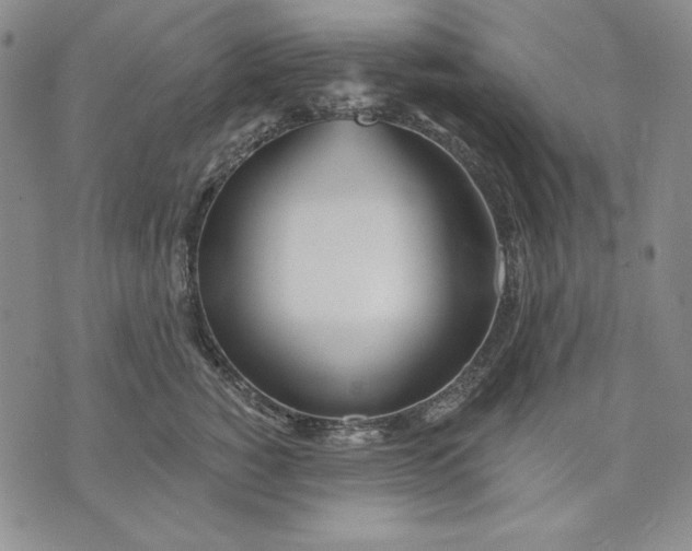 X0000072490760200608041416