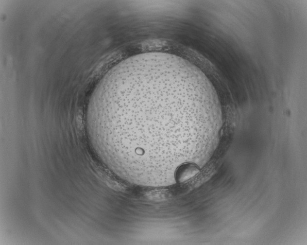 X0000072490761200608041416