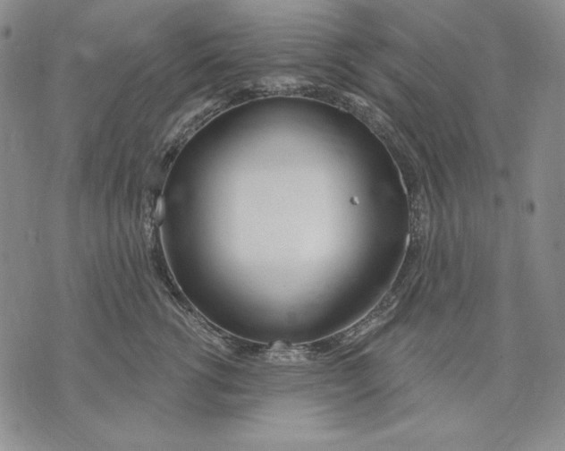 X0000072490762200608041416